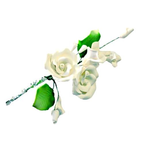 Tea Rose Spray - White